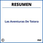 Las Aventuras De Totora Resumen