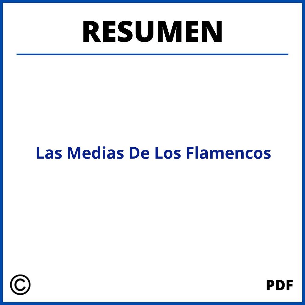 Las Medias De Los Flamencos Resumen