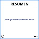 Los Gajes Del Oficio Alliaud Y Antelo Resumen