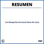 Los Mosquitos De Santa Rosa De Lima Resumen