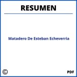Resumen Del Matadero De Esteban Echeverria