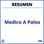 Resumen De Medico A Palos