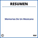 Memorias De Un Mexicano Resumen