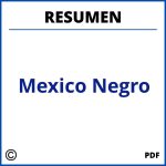 Resumen Del Libro Mexico Negro
