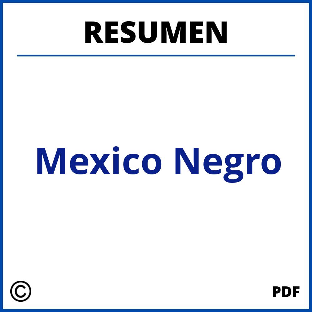 Resumen Del Libro Mexico Negro