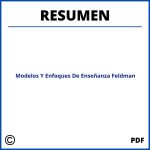 Modelos Y Enfoques De Enseñanza Feldman Resumen