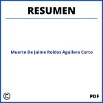 Muerte De Jaime Roldos Aguilera Resumen Corto