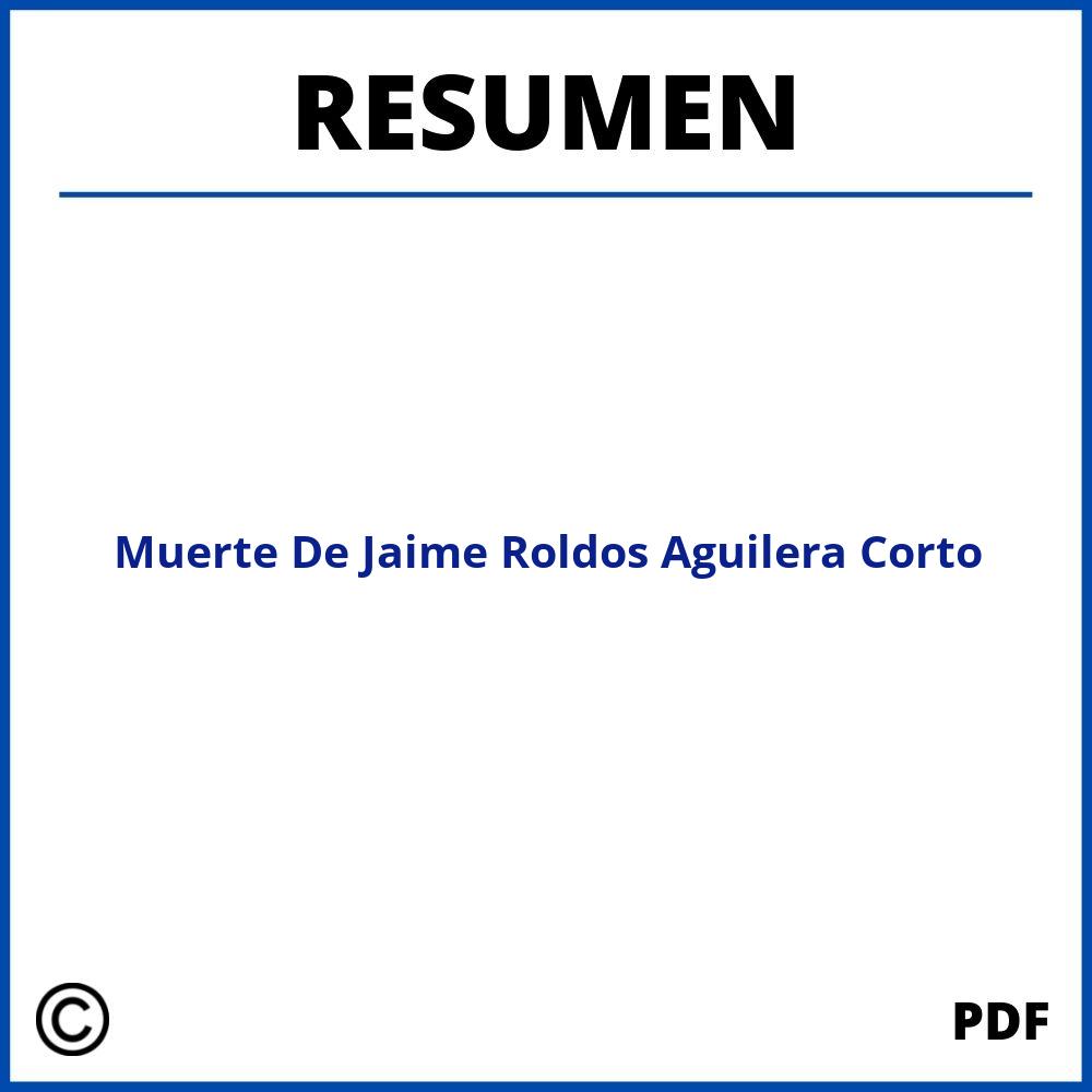 Muerte De Jaime Roldos Aguilera Resumen Corto