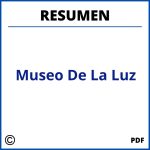 Museo De La Luz Resumen