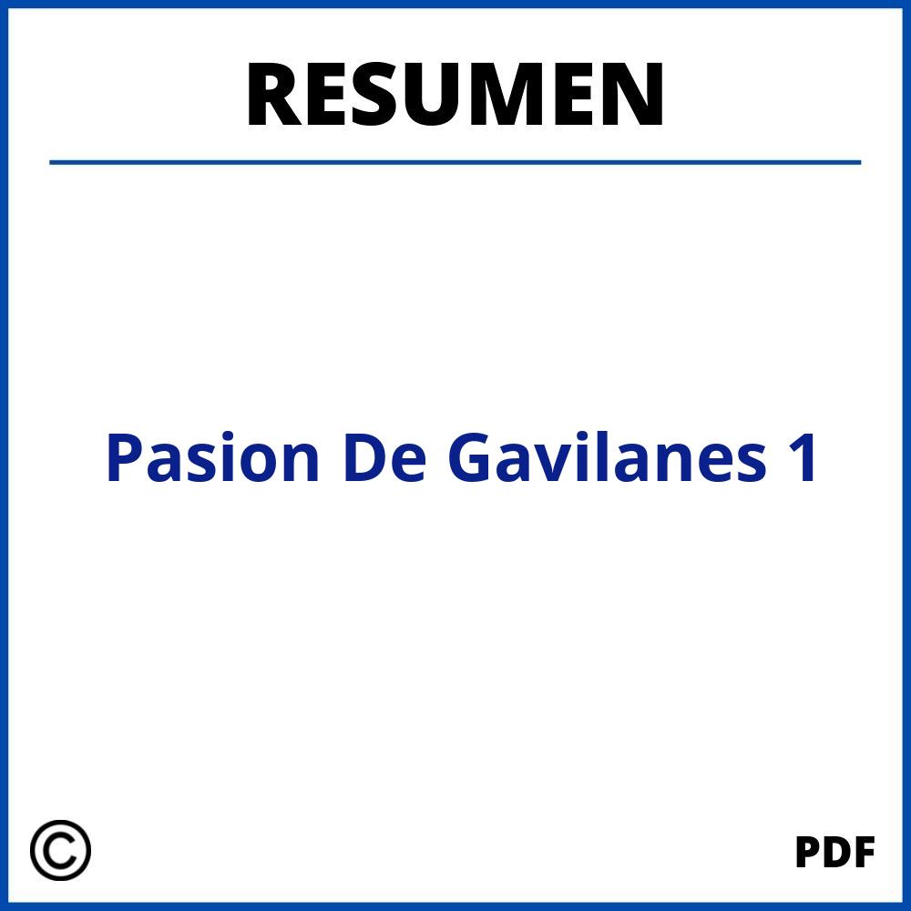 Resumen Pasion De Gavilanes 1