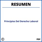 Principios Del Derecho Laboral Resumen