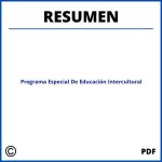 Resumen Programa Especial De Educación Intercultural
