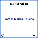 Raffles Manos De Seda Resumen