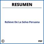 Relieve De La Selva Peruana Resumen