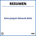 Resumen El Roto Joaquin Edwards Bello
