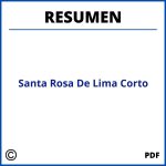 Santa Rosa De Lima Resumen Corto