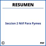 Seccion 2 Niif Para Pymes Resumen