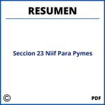 Seccion 23 Niif Para Pymes Resumen