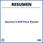 Seccion 5 Niif Para Pymes Resumen