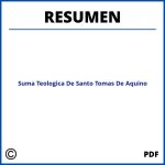 Suma Teologica De Santo Tomas De Aquino Resumen