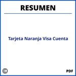 Tarjeta Naranja Visa Resumen De Cuenta