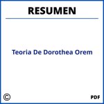 Teoria De Dorothea Orem Resumen