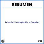 Teoria De Los Campos Pierre Bourdieu Resumen